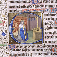 Manuscrits BUHM (UM)